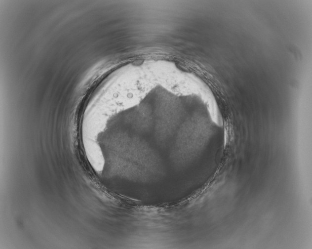 X0000111640339200908281202