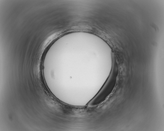 X0000111640340200908281202