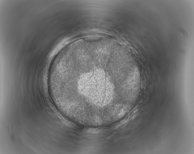 X0000111640341200908281202