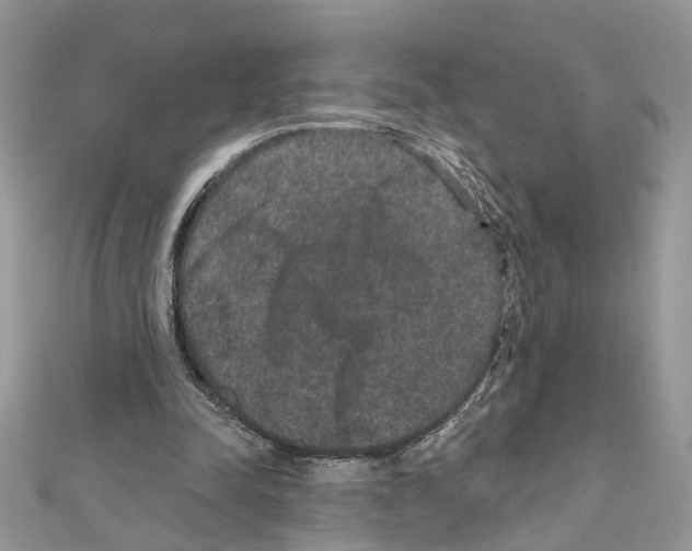 X0000111640342200908281202
