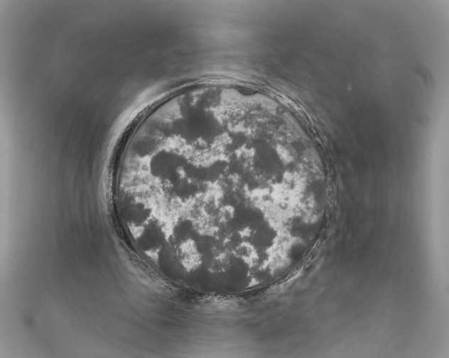 X0000111640343200908281202