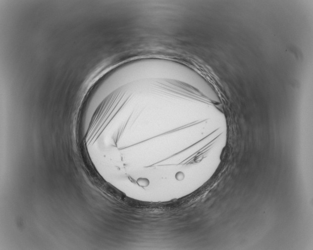 X0000111640344200908281202