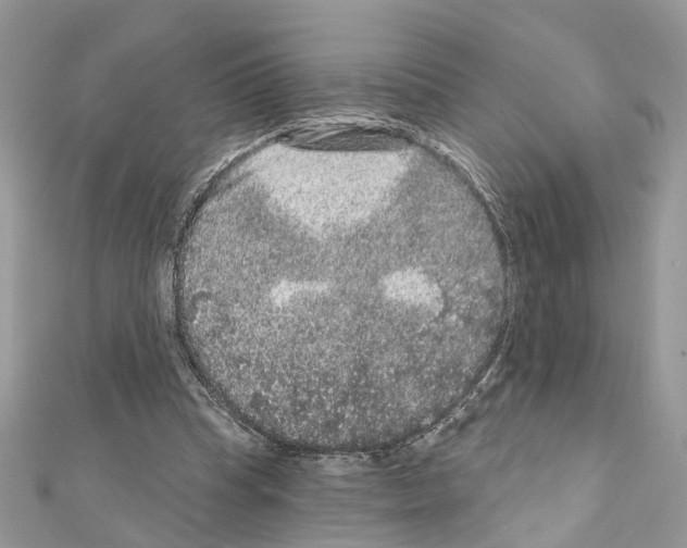 X0000111640345200908281202