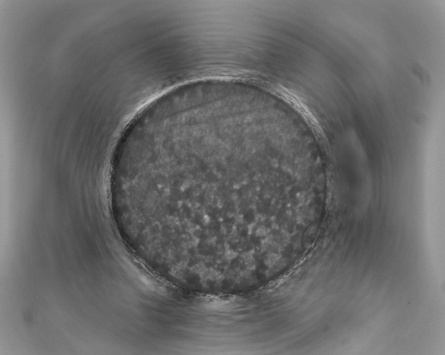 X0000111640346200908281202