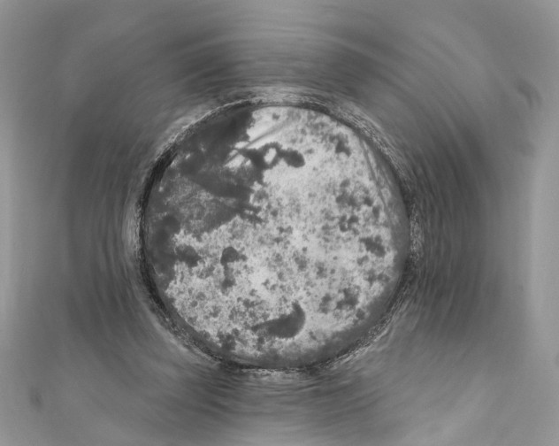 X0000111640347200908281202