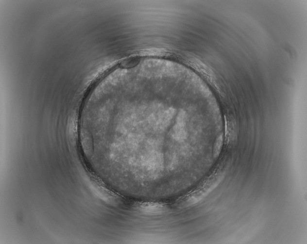 X0000111640348200908281202