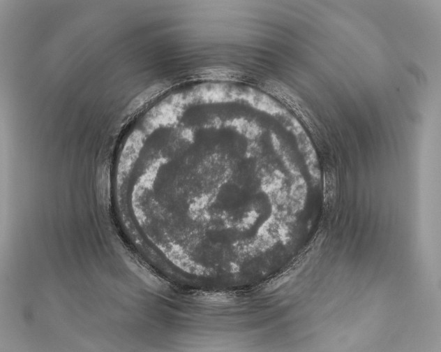 X0000111640349200908281202