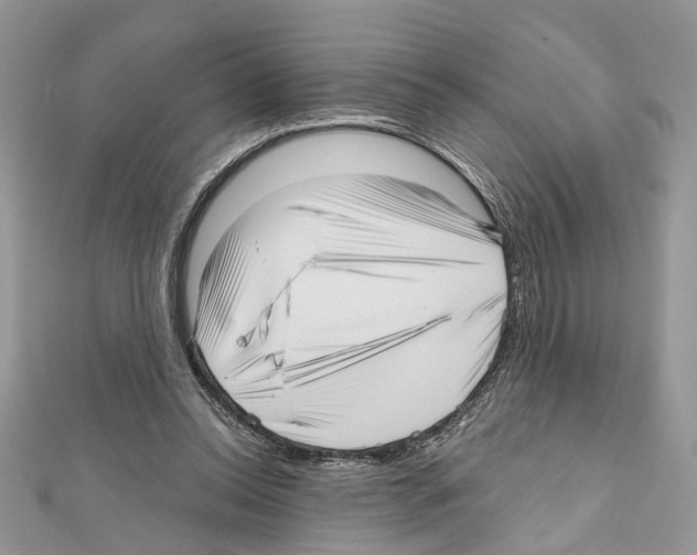 X0000111640350200908281202