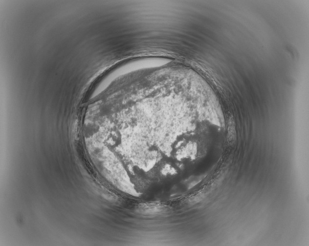X0000111640351200908281202