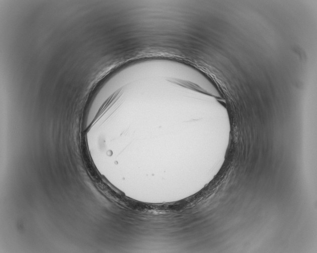 X0000111640352200908281202