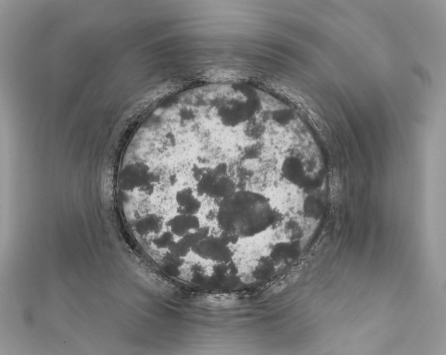 X0000111640353200908281202