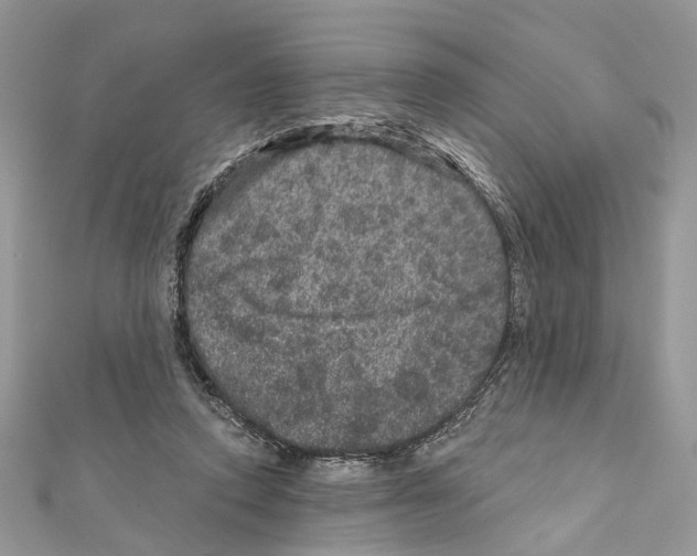 X0000111640354200908281202