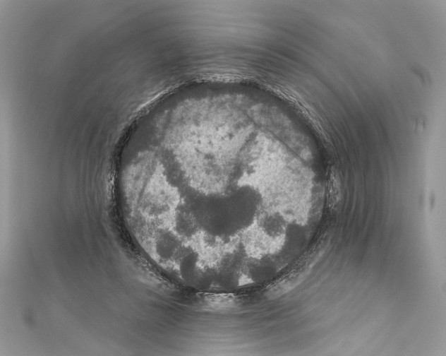 X0000111640355200908281202
