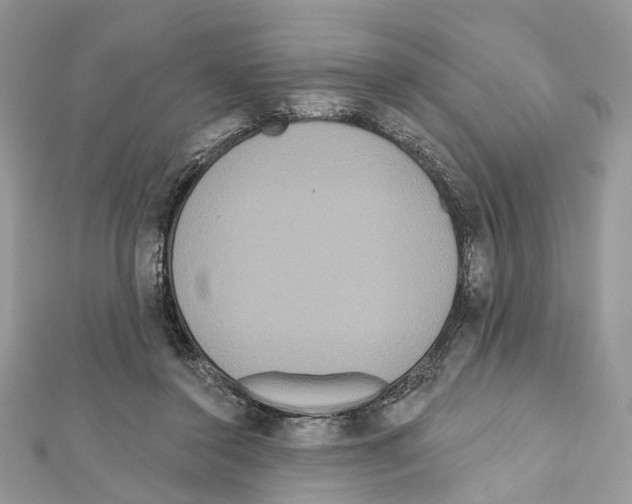 X0000111640356200908281202