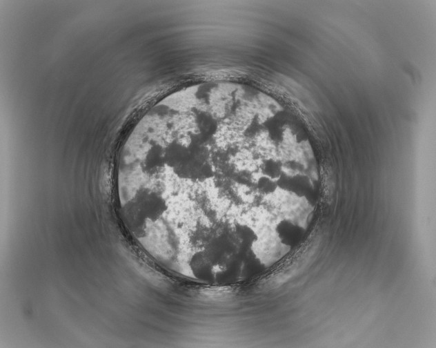 X0000111640357200908281202