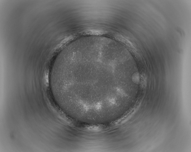 X0000111640358200908281202