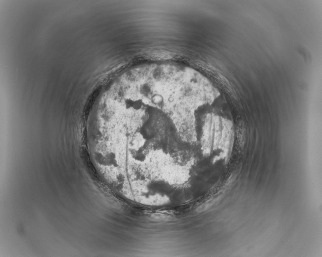 X0000111640359200908281202