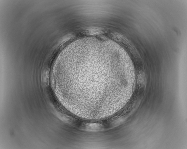 X0000111640360200908281202