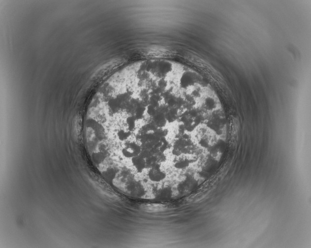X0000111640361200908281202