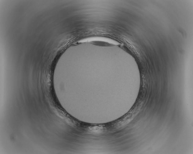 X0000111640362200908281202