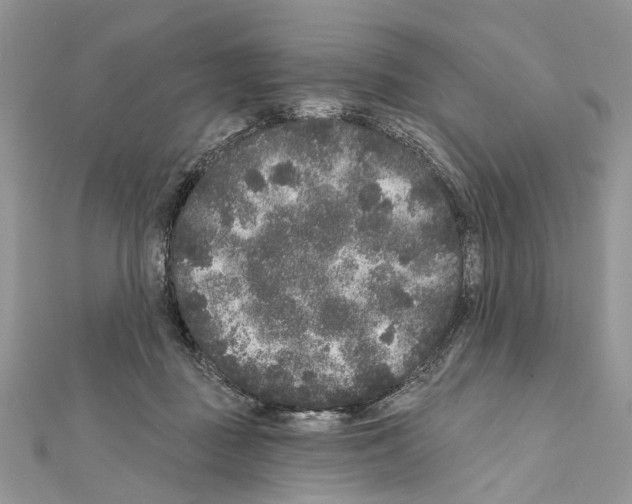 X0000111640363200908281202
