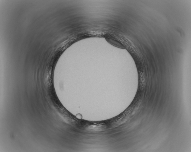 X0000111640364200908281202