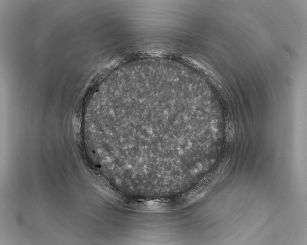 X0000111640365200908281202