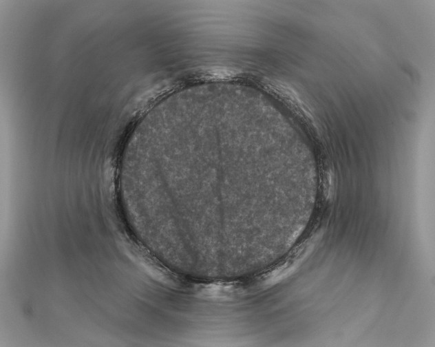X0000111640366200908281202