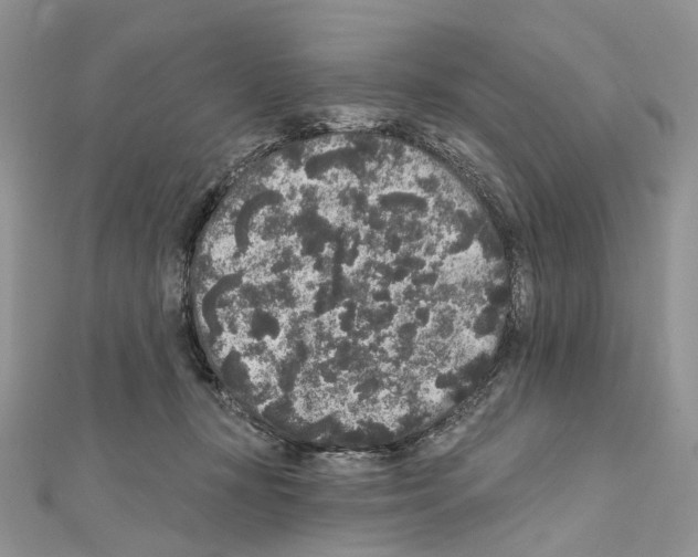X0000111640367200908281202