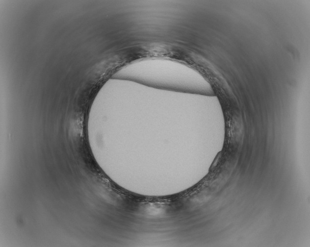 X0000111640368200908281202