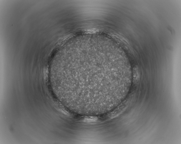 X0000111640369200908281202