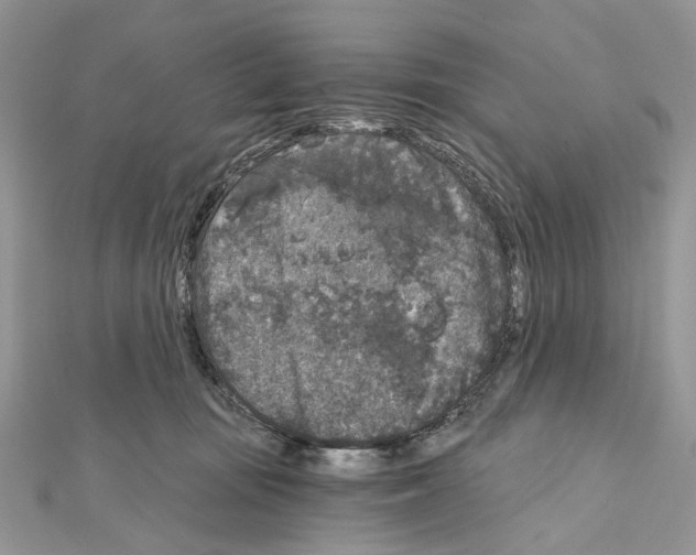 X0000111640371200908281202