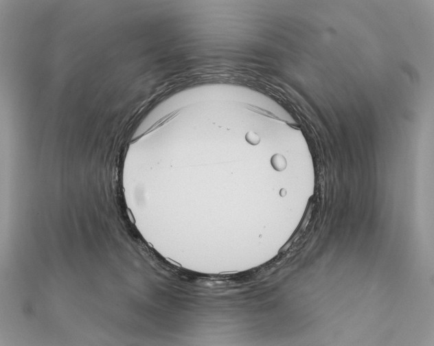 X0000111640372200908281202