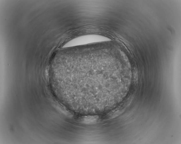 X0000111640373200908281202