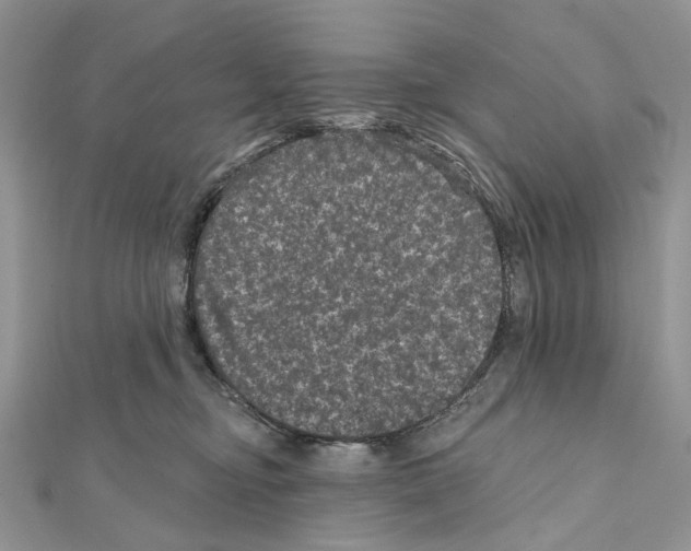 X0000111640374200908281202