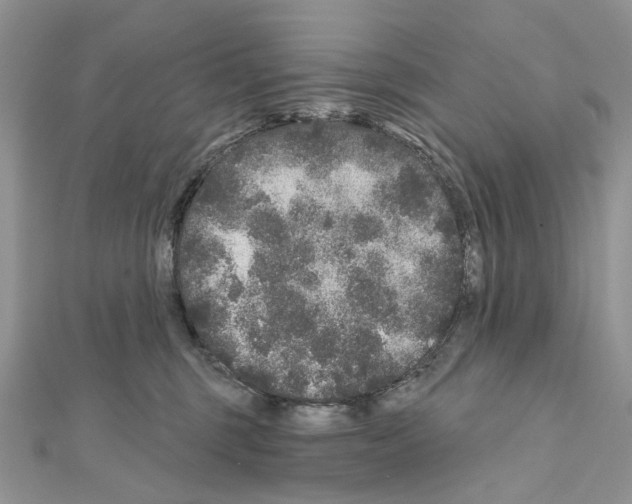 X0000111640375200908281202