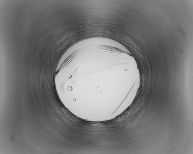 X0000111640376200908281202