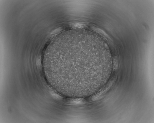 X0000111640377200908281202