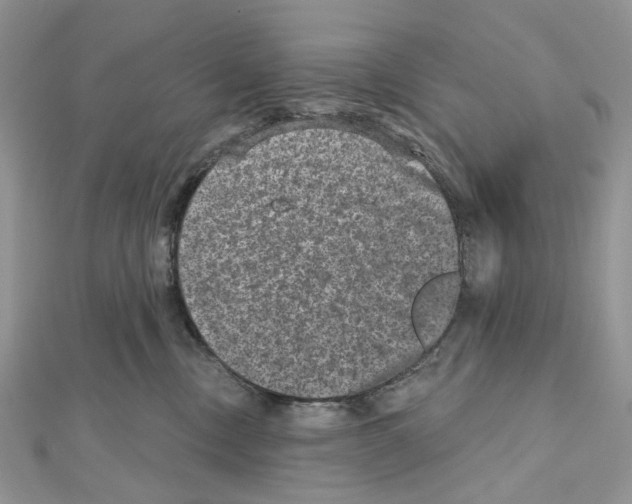 X0000111640378200908281202