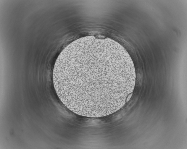 X0000111640379200908281203