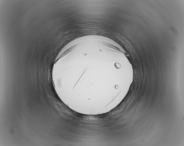 X0000111640380200908281203