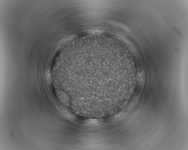 X0000111640381200908281203