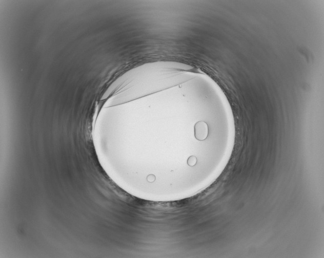 X0000111640384200908281203