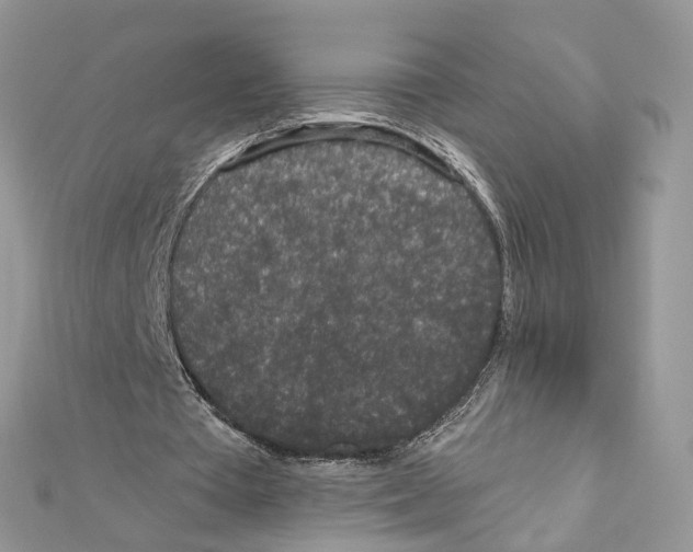 X0000111640385200908281202