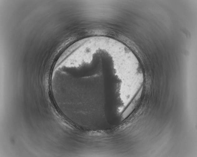 X0000111640386200908281202