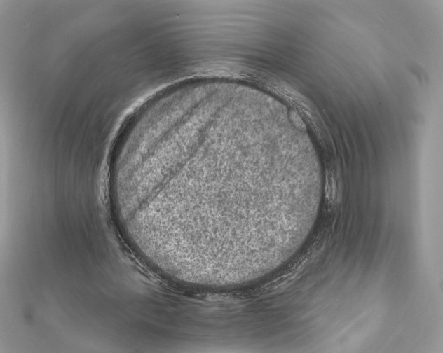 X0000111640388200908281202