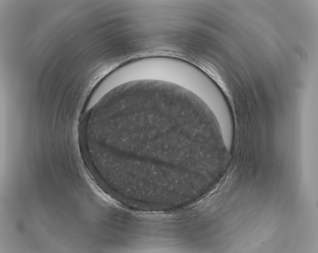 X0000111640389200908281202