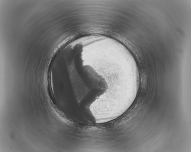 X0000111640390200908281202