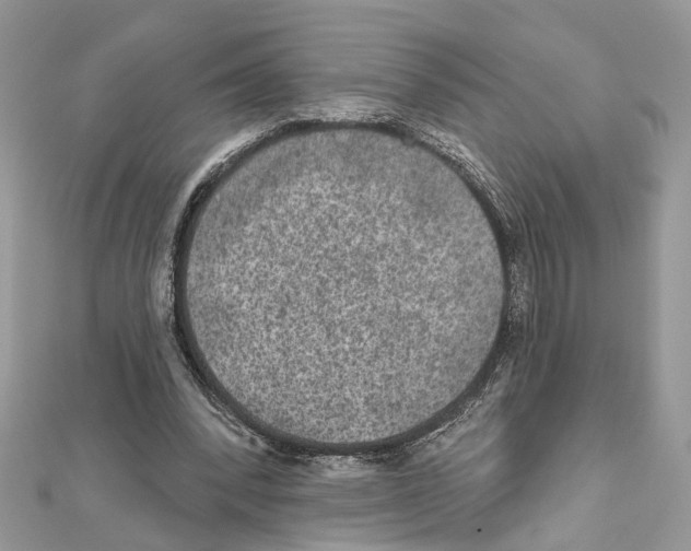 X0000111640392200908281202
