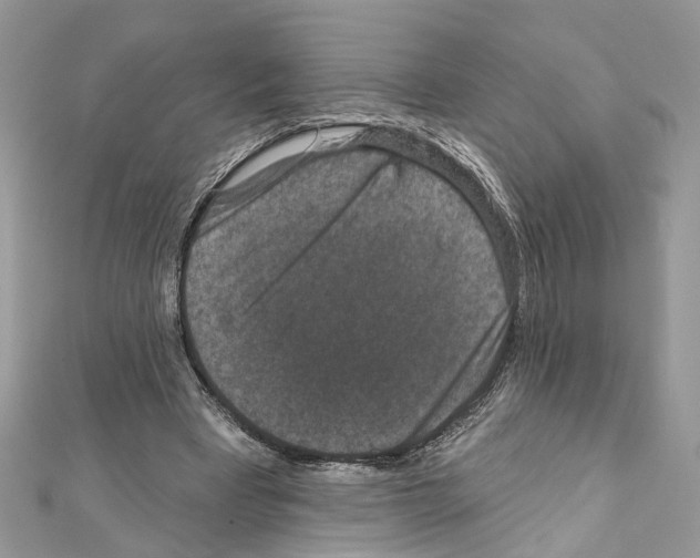 X0000111640393200908281202